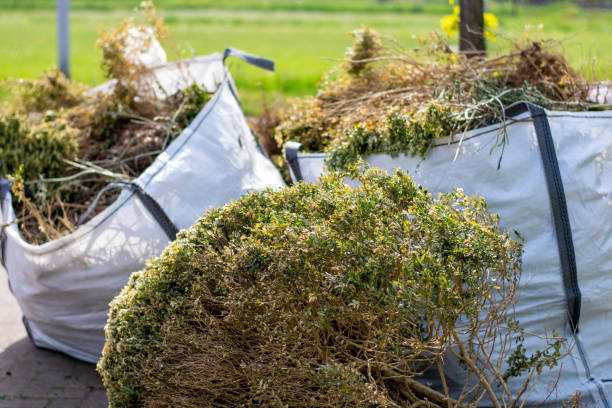 Best Same-Day Junk Removal  in Shenandoah Farms, VA
